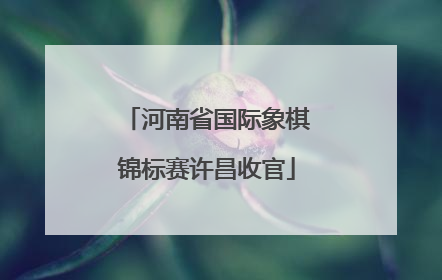 河南省国际象棋锦标赛许昌收官
