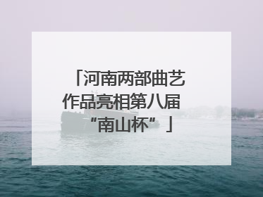 河南两部曲艺作品亮相第八届“南山杯”