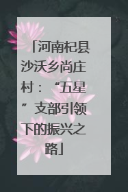 河南杞县沙沃乡尚庄村：“五星”支部引领下的振兴之路