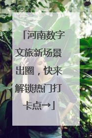 河南数字文旅新场景出圈，快来解锁热门打卡点→