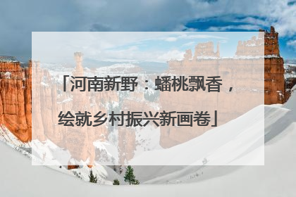 河南新野：蟠桃飘香，绘就乡村振兴新画卷