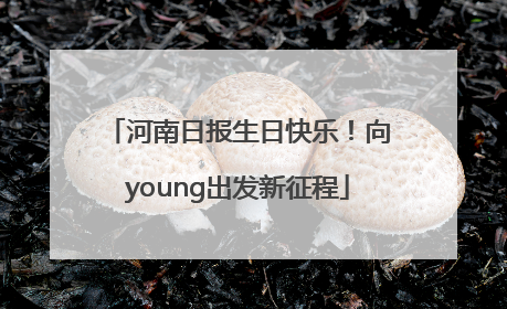 河南日报生日快乐！向young出发新征程