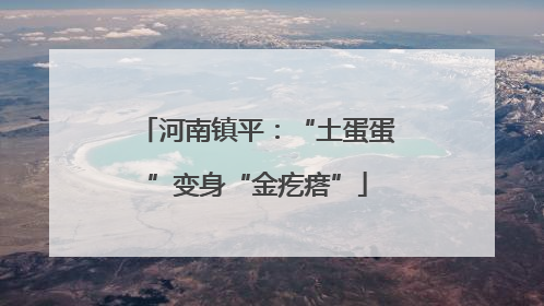 河南镇平：“土蛋蛋”变身“金疙瘩”