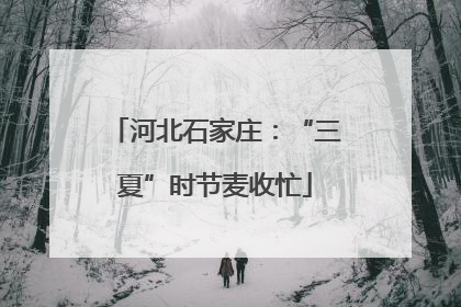 河北石家庄：“三夏”时节麦收忙