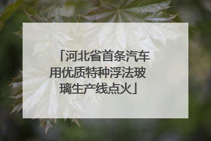 河北省首条汽车用优质特种浮法玻璃生产线点火