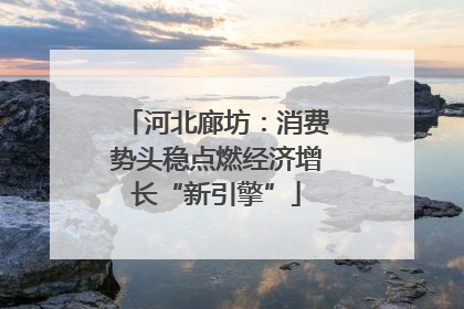 河北廊坊：消费势头稳点燃经济增长“新引擎”