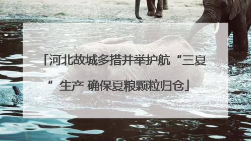 河北故城多措并举护航“三夏”生产 确保夏粮颗粒归仓