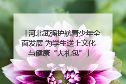 河北武强护航青少年全面发展 为学生送上文化与健康“大礼包”
