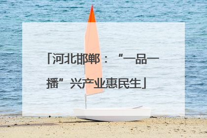 河北邯郸：“一品一播”兴产业惠民生
