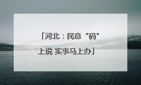 河北：民意“码”上说 实事马上办