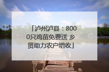 泸州泸县：8000只鸡苗免费送 乡贤助力农户增收