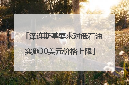 泽连斯基要求对俄石油实施30美元价格上限