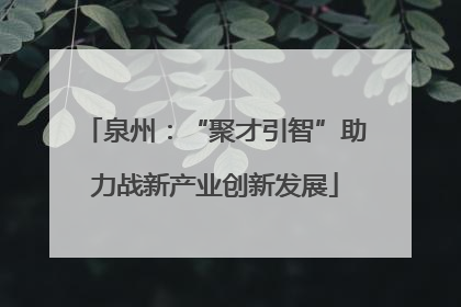 泉州：“聚才引智”助力战新产业创新发展