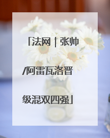 法网｜张帅/阿雷瓦洛晋级混双四强