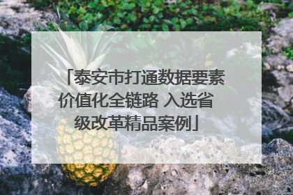 泰安市打通数据要素价值化全链路 入选省级改革精品案例