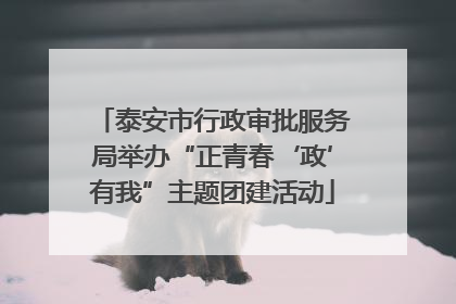 泰安市行政审批服务局举办“正青春‘政’有我”主题团建活动