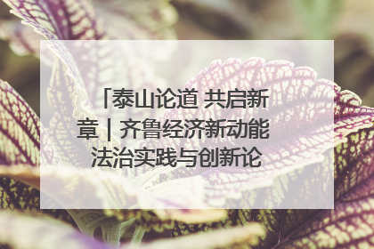 泰山论道 共启新章｜齐鲁经济新动能 法治实践与创新论坛成功举办