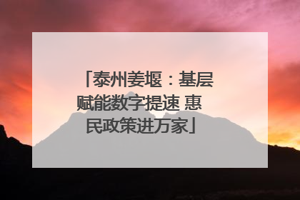 泰州姜堰：基层赋能数字提速 惠民政策进万家