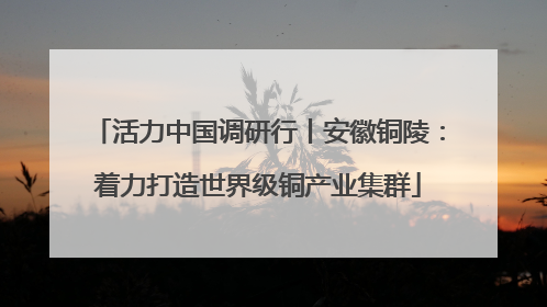活力中国调研行丨安徽铜陵：着力打造世界级铜产业集群
