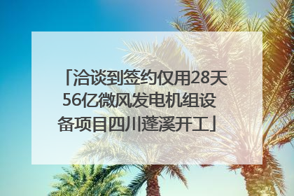 洽谈到签约仅用28天 56亿微风发电机组设备项目四川蓬溪开工