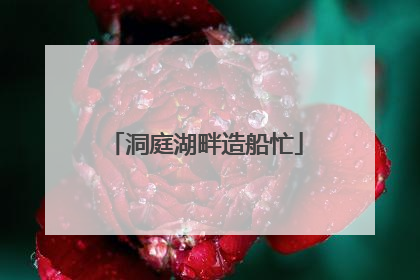 洞庭湖畔造船忙