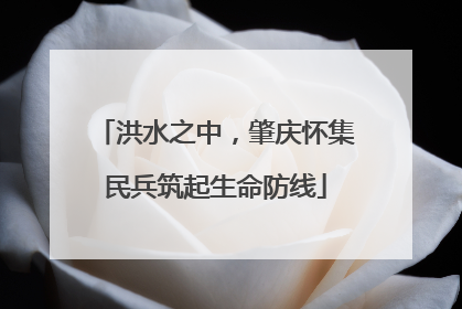 洪水之中，肇庆怀集民兵筑起生命防线