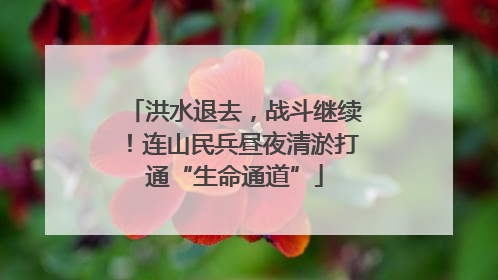 洪水退去，战斗继续！连山民兵昼夜清淤打通“生命通道”