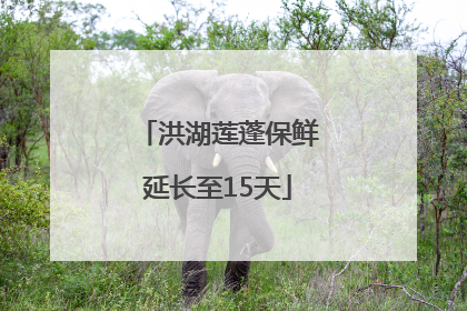 洪湖莲蓬保鲜延长至15天