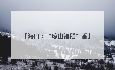 海口：“琼山福稻”香