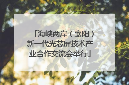 海峡两岸（襄阳）新一代光芯屏技术产业合作交流会举行