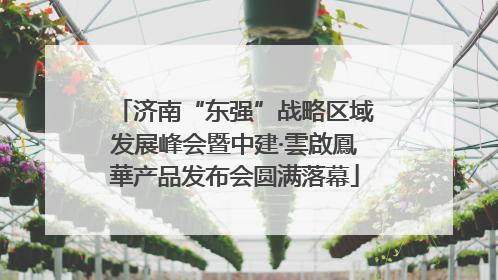 济南“东强”战略区域发展峰会暨中建·雲啟鳳華产品发布会圆满落幕