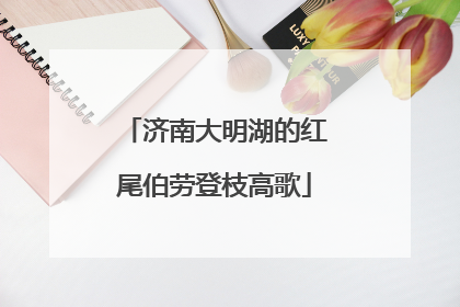 济南大明湖的红尾伯劳登枝高歌