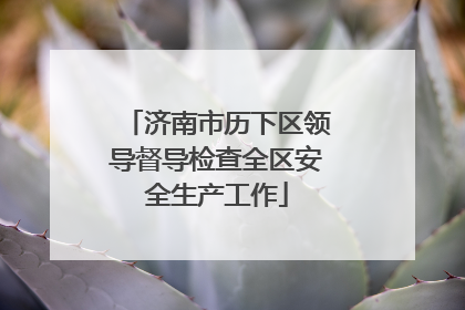 济南市历下区领导督导检查全区安全生产工作