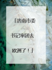 济南市委书记率团去欧洲了！