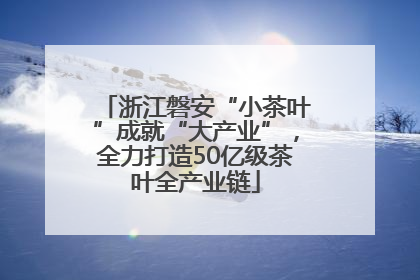 浙江磐安“小茶叶”成就“大产业”，全力打造50亿级茶叶全产业链