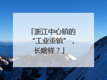 浙江中心镇的“工业重镇”，长啥样？