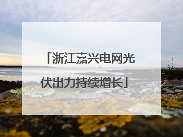 浙江嘉兴电网光伏出力持续增长