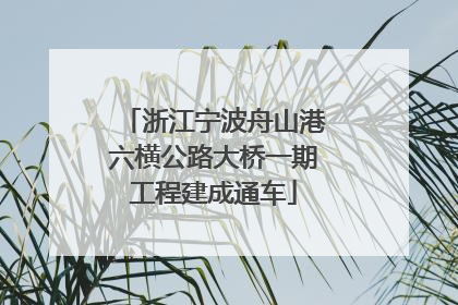 浙江宁波舟山港六横公路大桥一期工程建成通车