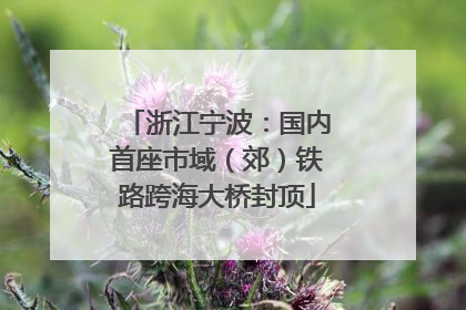 浙江宁波：国内首座市域（郊）铁路跨海大桥封顶