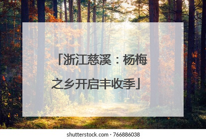 浙江慈溪：杨梅之乡开启丰收季