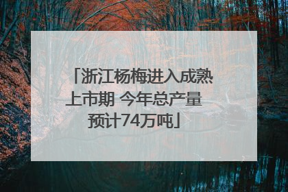 浙江杨梅进入成熟上市期 今年总产量预计74万吨