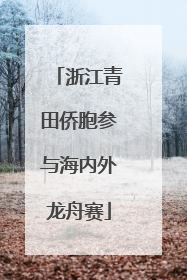 浙江青田侨胞参与海内外龙舟赛