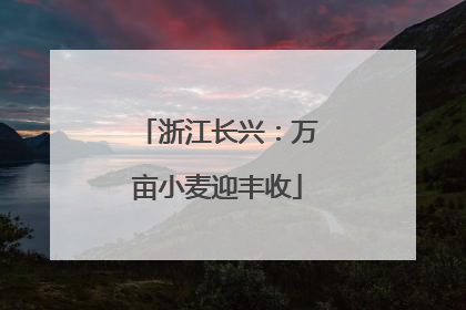 浙江长兴：万亩小麦迎丰收