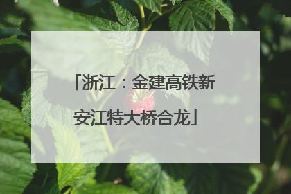 浙江：金建高铁新安江特大桥合龙