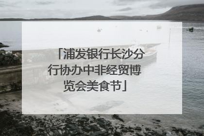 浦发银行长沙分行协办中非经贸博览会美食节