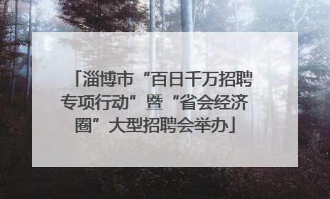 淄博市“百日千万招聘专项行动”暨“省会经济圈”大型招聘会举办