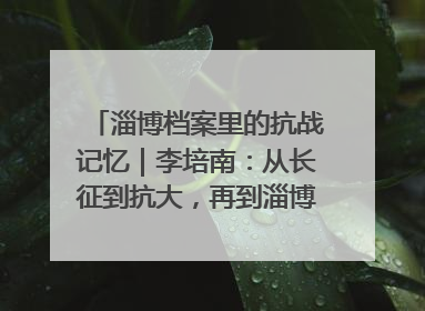 淄博档案里的抗战记忆｜李培南：从长征到抗大，再到淄博的革命足迹