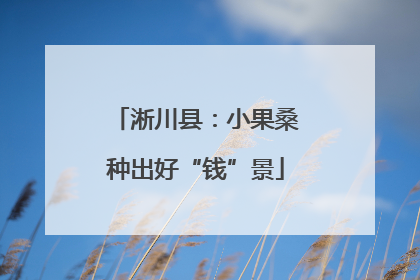 淅川县：小果桑种出好“钱”景