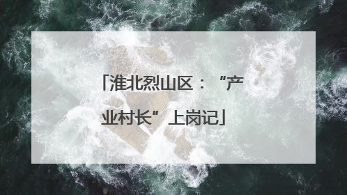 淮北烈山区：“产业村长”上岗记