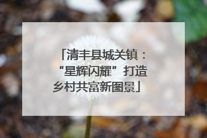 清丰县城关镇：“星辉闪耀”打造乡村共富新图景